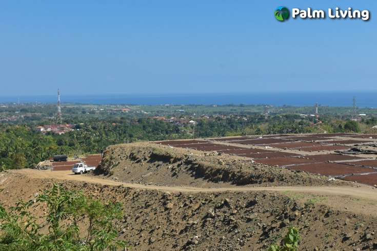 Hillside Land  in Dencarik North Bali