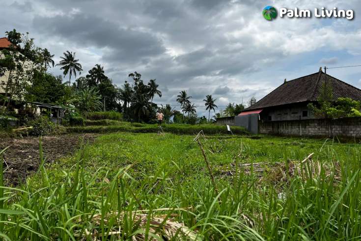 Leasehold Land in Ubud for Sale