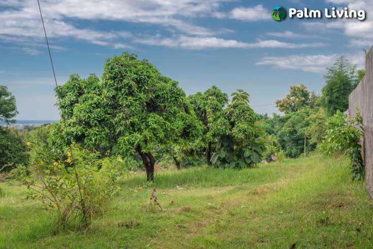 Prime Land for Sale in Kayuputih