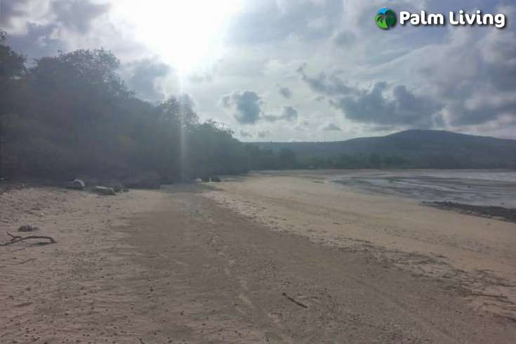 Tranquil Land For Sale in Sumba