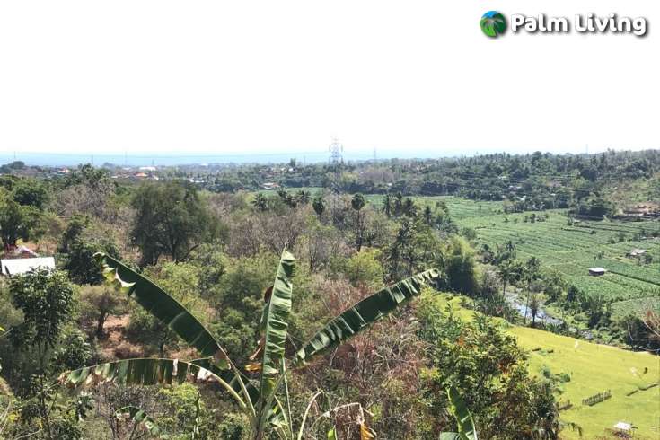 Hillside Land For Sale, North Bali