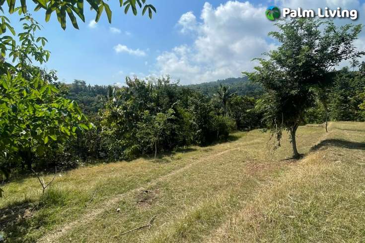 Cempaga Land with Ocean View