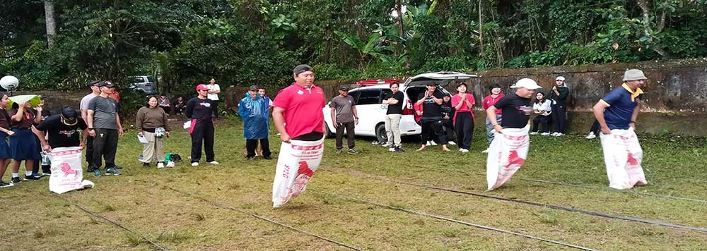 Independence Daty Games