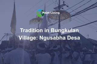 The Sacred Balinese Tradition that Stops the Traffic