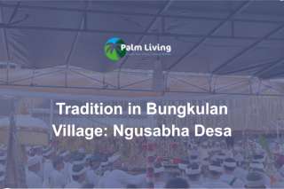 The Sacred Balinese Tradition that Stops the Traffic