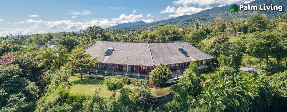 Luxury Villa For Sale in Kayuputih Lovina