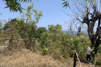 Hillside Plot with Ocean View