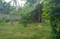 Land Plot For Sale in Bali