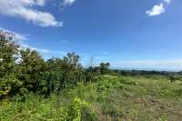 Land for Sale with Stunning Views in Panji