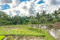 Prime Land for Sale Near Ubud
