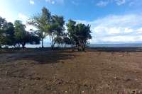 Beachfront Land for Sale in Singaraja