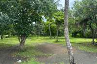 Prime Land for Sale - Development