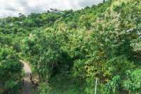 Elevated Big Plot in Kaliasem for Sale