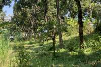 Landplot for Sale in Kaliasem