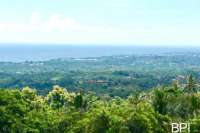 Hillside Land In North Bali for Sale