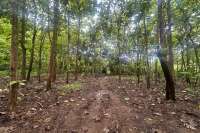 Simple & Affordable Land for Sale