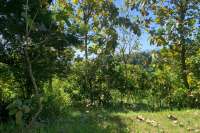 Sloping Land with Ocean & Jungle Views