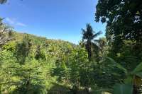 Hillside Plot in Kayuputih for Sale