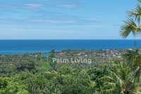 Two Plots Of Land For Sale In Lovina