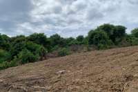 Hillside Land For Sale Bali