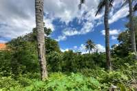 Rare Beachfront Land Close to Lovina