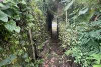 Tegallalang Land for Sale with Good View
