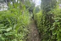 Tegallalang Land for Sale with Good View
