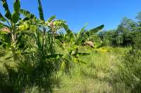 Land Plot in Kayuputih for Sale