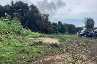 Panoramic Land for Sale in Kayuputih