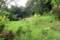 Land Plot in the Hill for Sale in Kayuputih