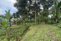 Tegallalang Land for Sale with Good View