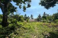 Hillside Plot in Kayuputih for Sale