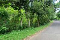 Land Plot in the Hill for Sale in Kayuputih