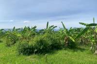 Plot for Sale with Mountain Views
