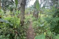 Tegallalang Land for Sale with Good View