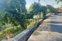 Land for Sale with Rice Field View