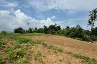 Freehold land for sale in Central Lovina