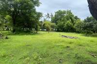 Prime Land for Sale - Development