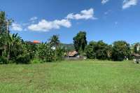 Centrally Located Land in Lovina for Sale