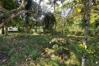 Hillside Plot in Kayuputih for Sale