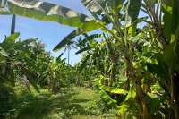 Nice Flat Land plot for Sale