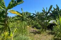 Land Plot in Kayuputih for Sale