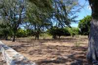 Beachfront Plots for Sale in Mondu