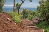 Land Plot Features Ocean View
