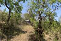 Hillside Plot with Ocean View