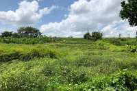 Riverside Land Plot Close To Canggu
