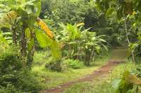 Simple & Affordable Land for Sale