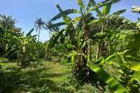 Nice Flat Land plot for Sale