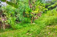 Prime Land in Kaliasem for Sale