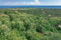 Elevated Big Plot in Kaliasem for Sale